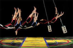 Streb