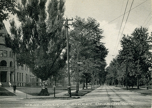 Talcott_tree_postcard_ca1910.jpg