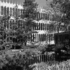 Con_garden_ca1965.jpg